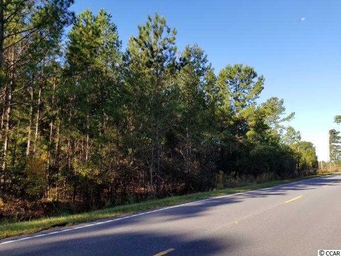 Tbd1 Airport Road Loris, SC 29569 - Photo 5 of 27 Gallery Image 5