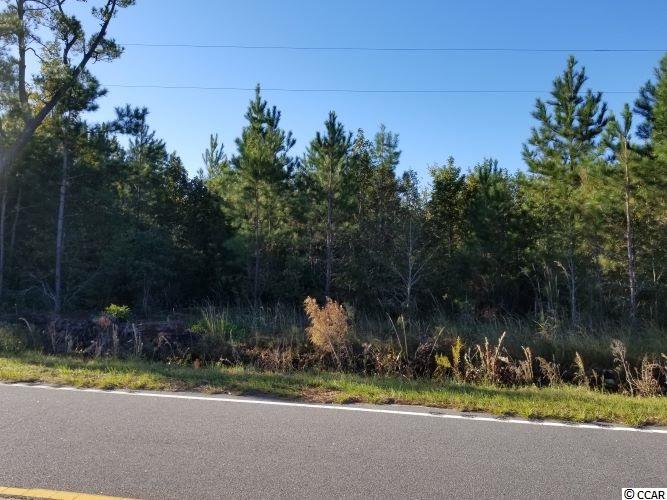 Tbd1 Airport Road Loris, SC 29569 - Photo 6 of 27 Gallery Image 6