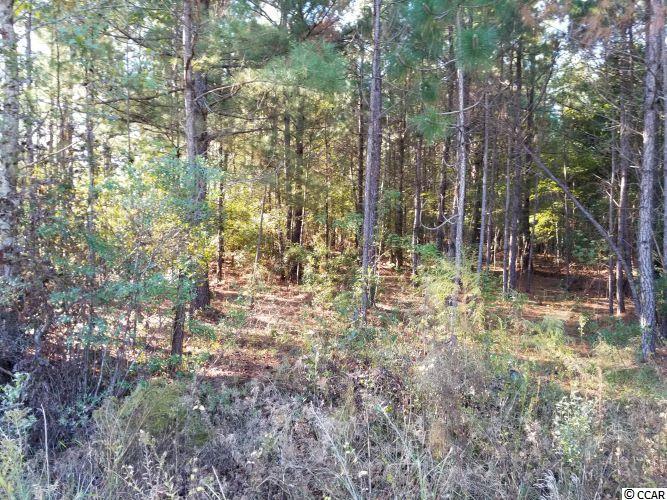 Tbd1 Airport Road Loris, SC 29569 - Photo 8 of 27 Gallery Image 8