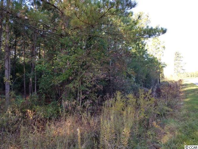 Tbd1 Airport Road Loris, SC 29569 - Photo 10 of 27 Gallery Image 10