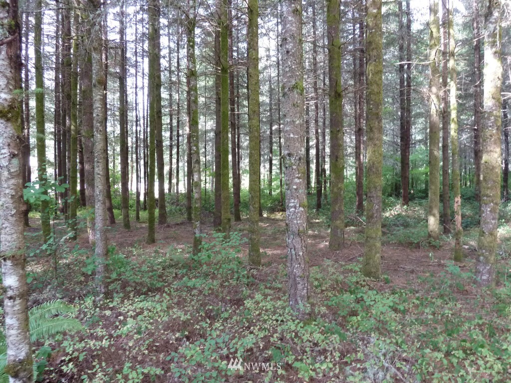 492 Brown Road East Chehalis, WA 98532 - Photo 14 of 22