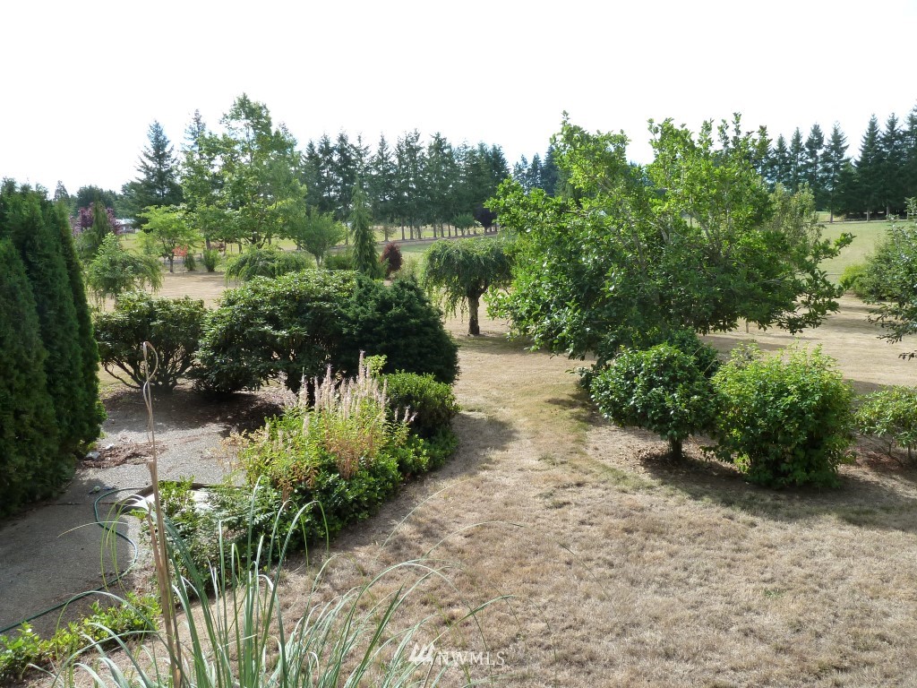492 Brown Road East Chehalis, WA 98532 - Photo 6 of 22
