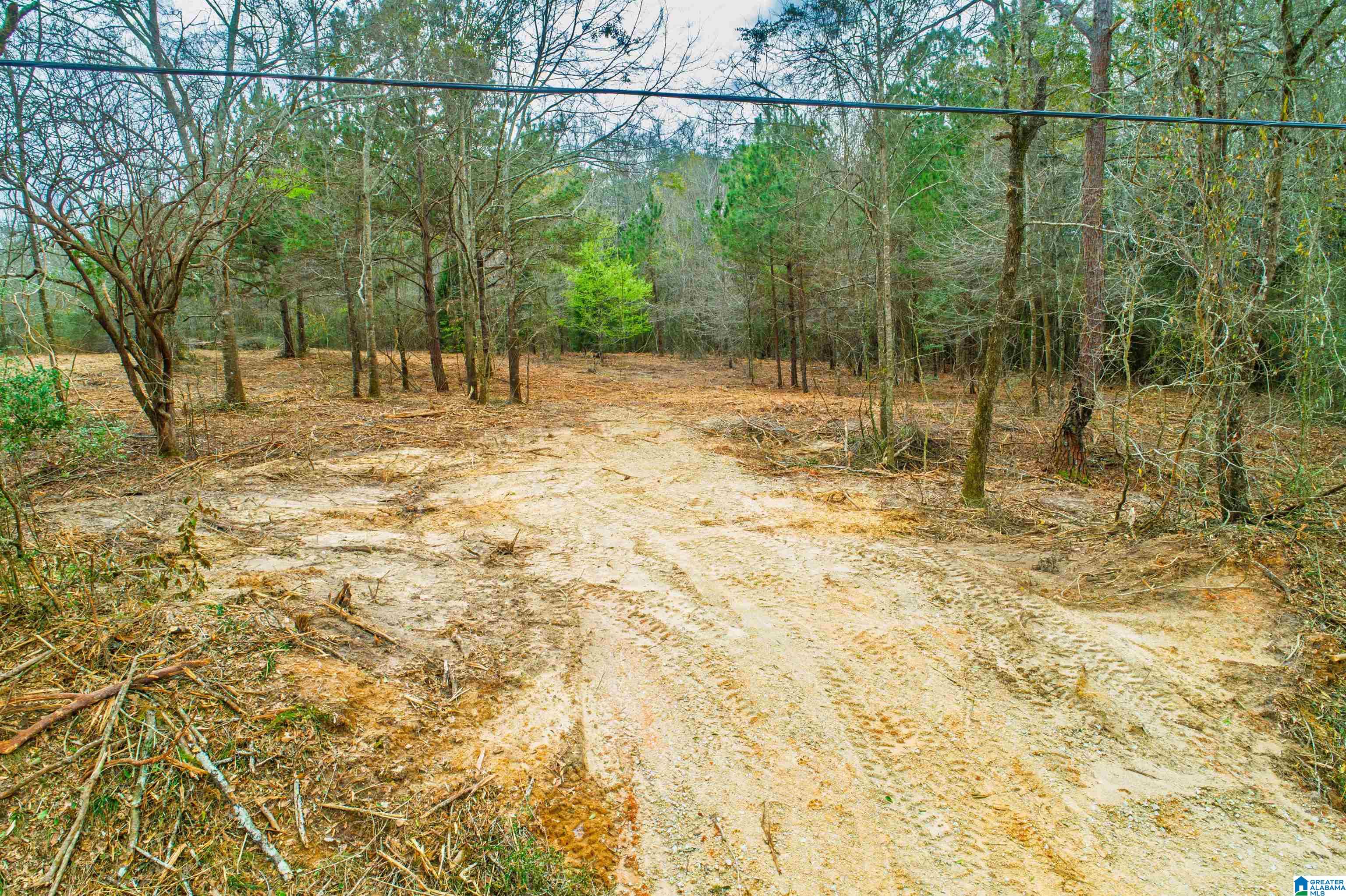 27180 Deer Run Road Opp, AL 36467 - Photo 37 of 60
