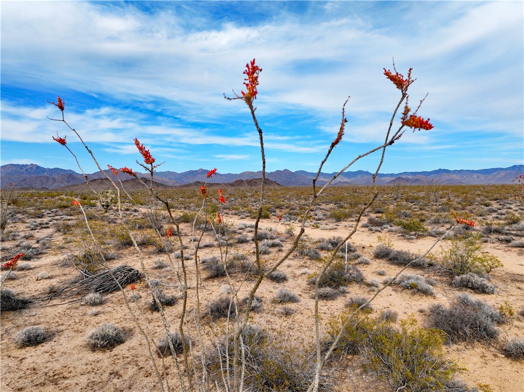 0 South Tabitha Yucca, AZ 86438 - Photo 2 of 6 a view of a city