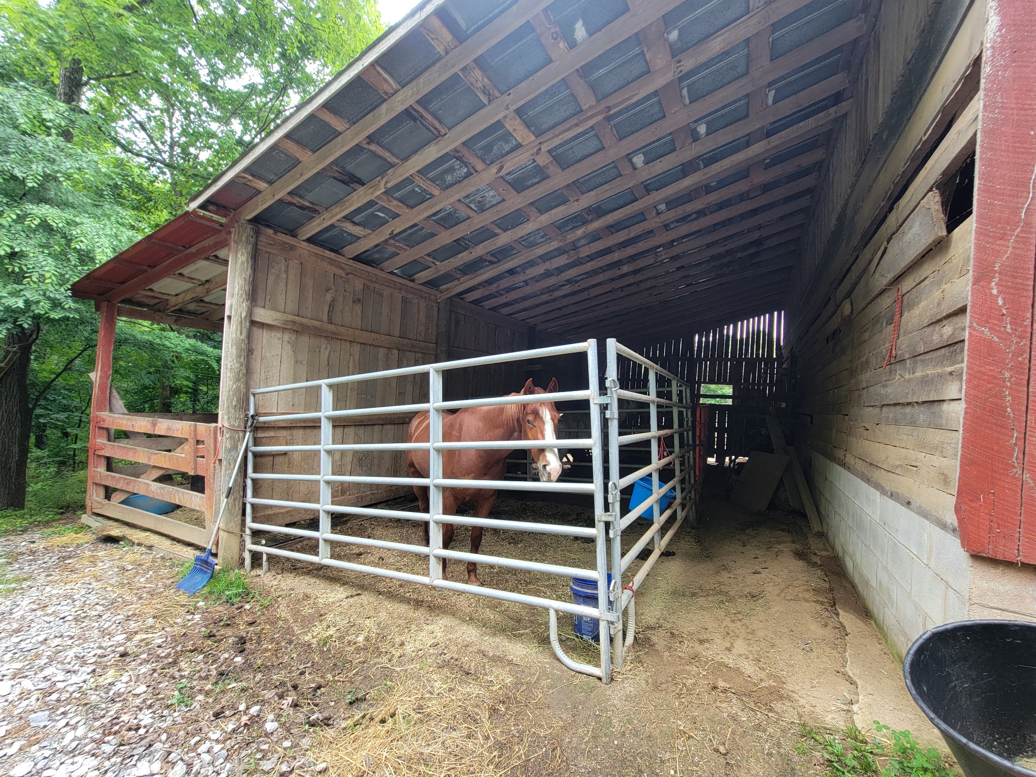 1089 Jim Clark Road Erin, TN 37061 - Photo 42 of 71
