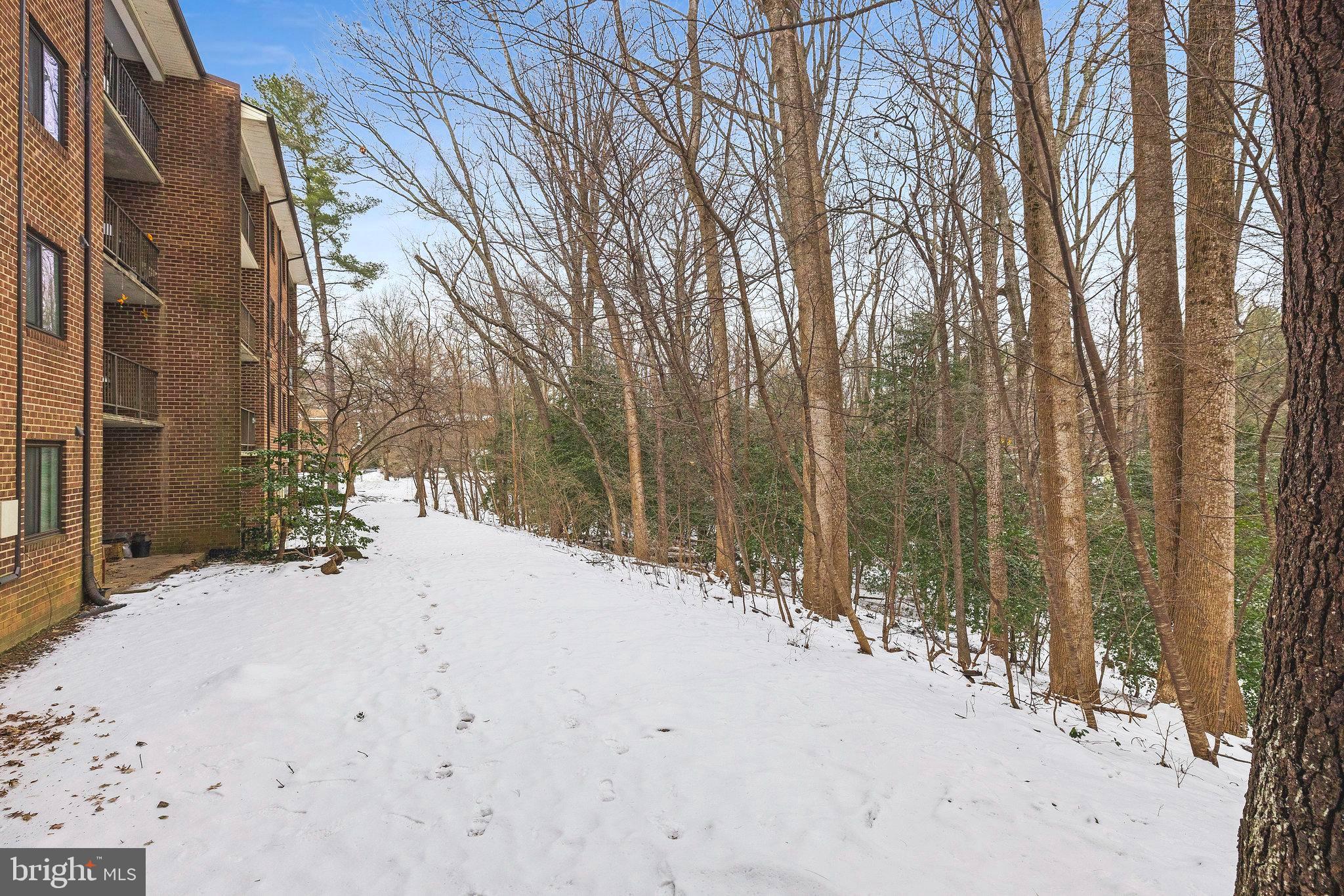 1554 Northgate Square, Unit 2A Reston, VA 20190 - Photo 10 of 11