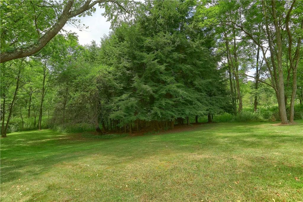 167 Ankeny Road Shelocta, PA 15774 - Photo 6 of 25
