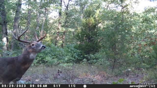 177-ac Tree Farm Road New Florence, MO 63363 - Photo 30 of 31