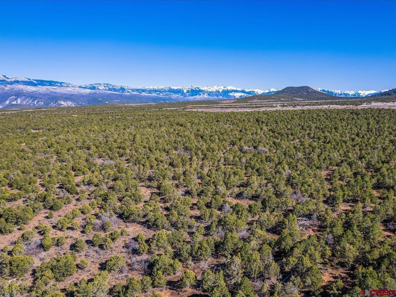 Tbd Pinon Ridge Road Montrose, CO 81403 - Photo 3 of 11