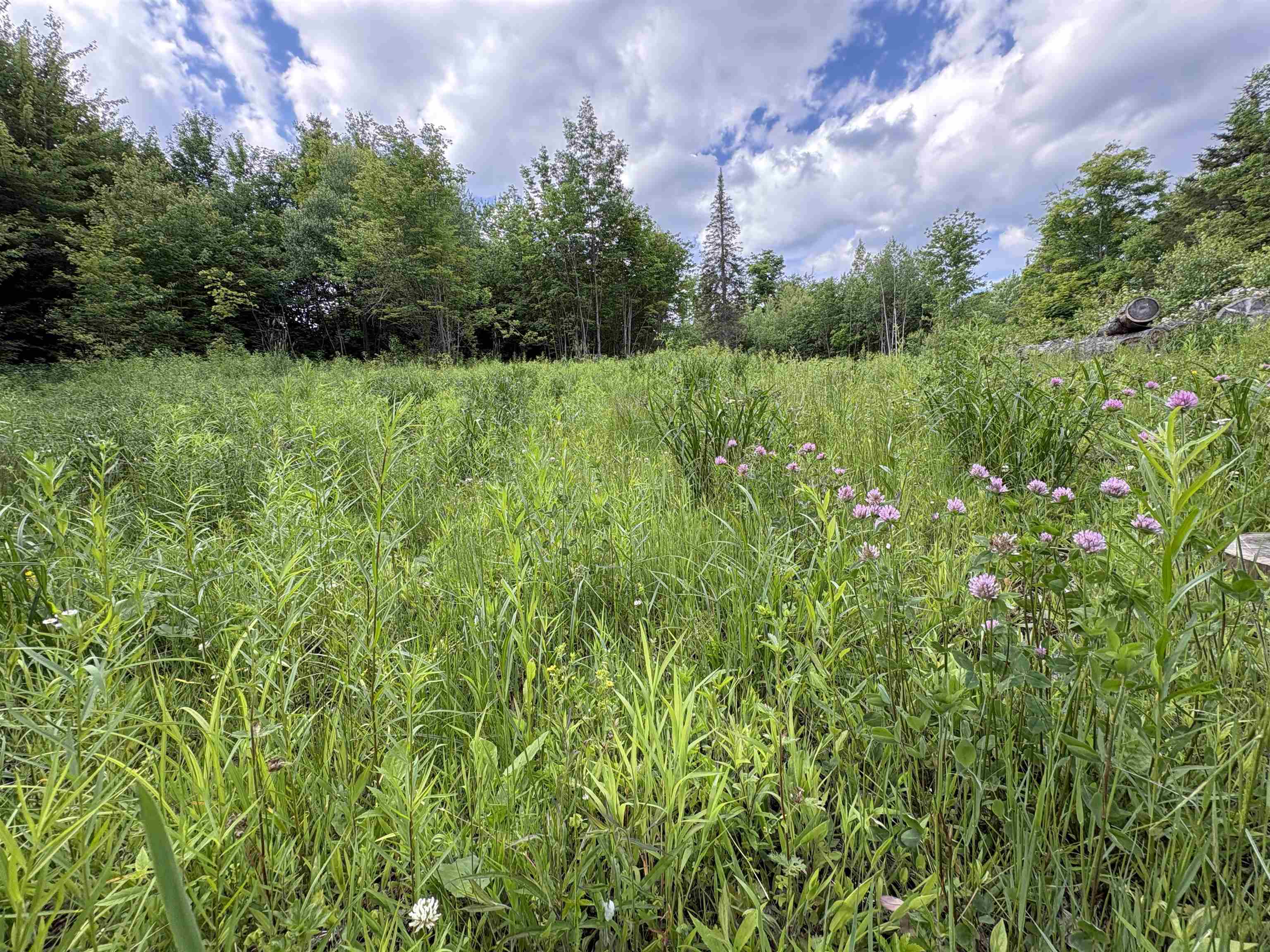208 Drake Pl Road Sheffield, VT 05866 - Photo 5 of 43