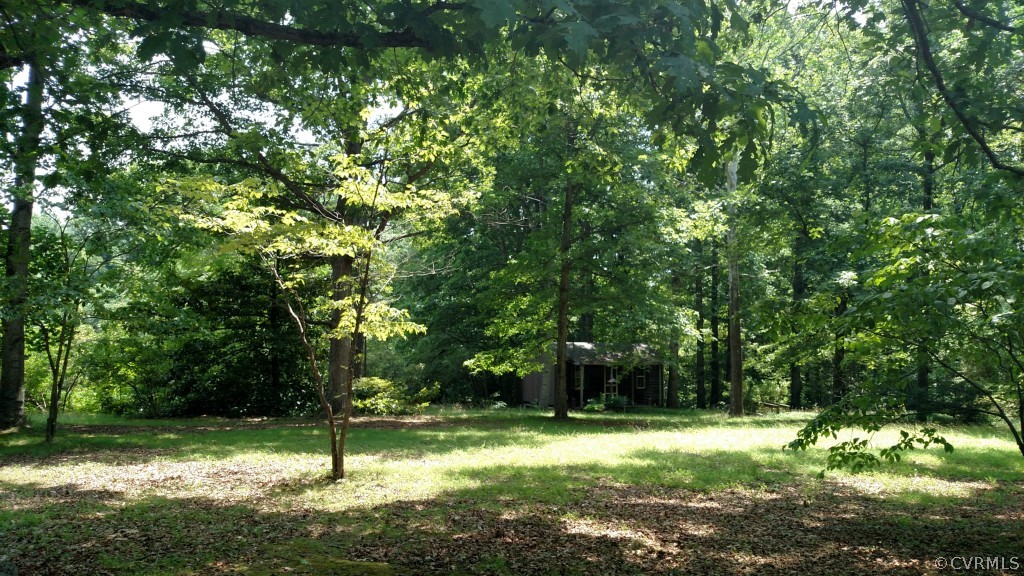 16397 Old Ridge Road Montpelier, VA 23192 - Photo 5 of 10 a view of a tree in a yard