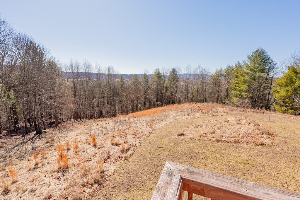 485 Grouse Ridge Road Max Meadows, VA 24360 - Photo 40 of 76 Gallery Image 40