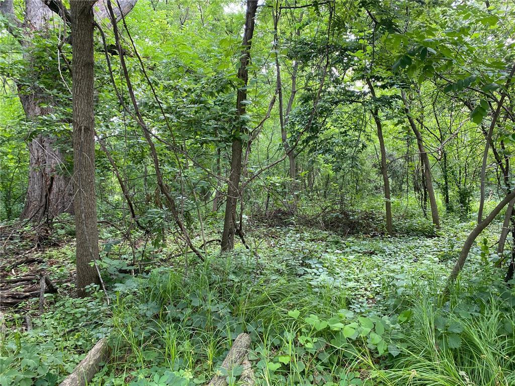 13-xx 3rd Street St. Paul Park, MN 55071 - Photo 2 of 5