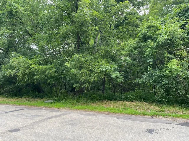 $75,000 | 13-xx 3rd Street, St. Paul Park, MN 55071