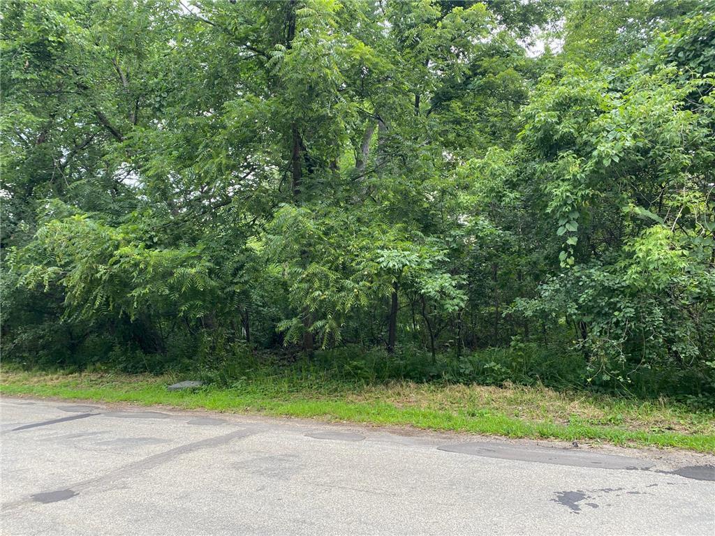 13-xx 3rd Street St. Paul Park, MN 55071 - Photo 3 of 5