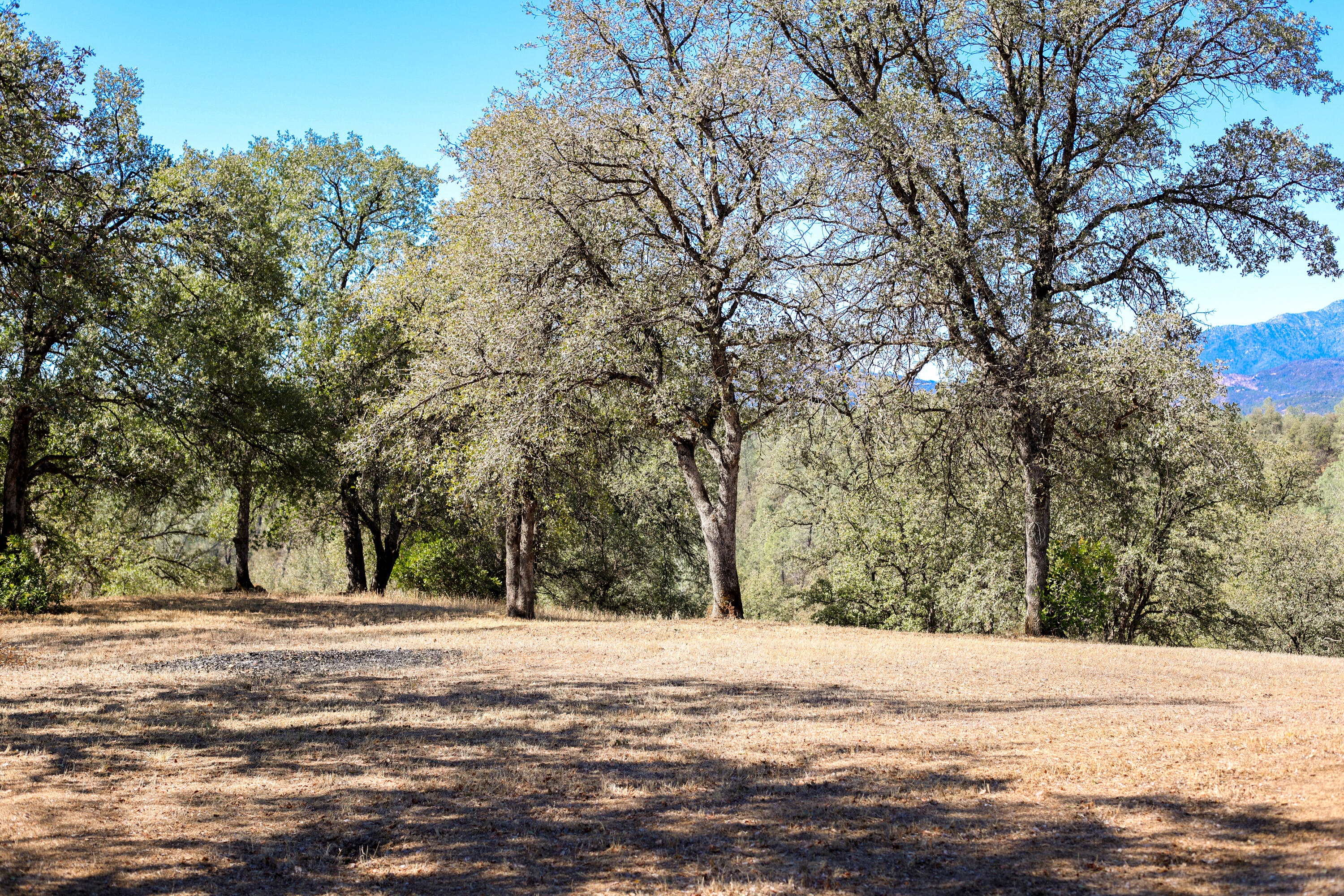 3295 Santa Rosa Way Redding, CA 96003 - Photo 7 of 55 Amazing