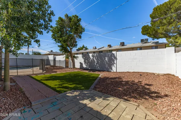 a view of a backyard with a tree