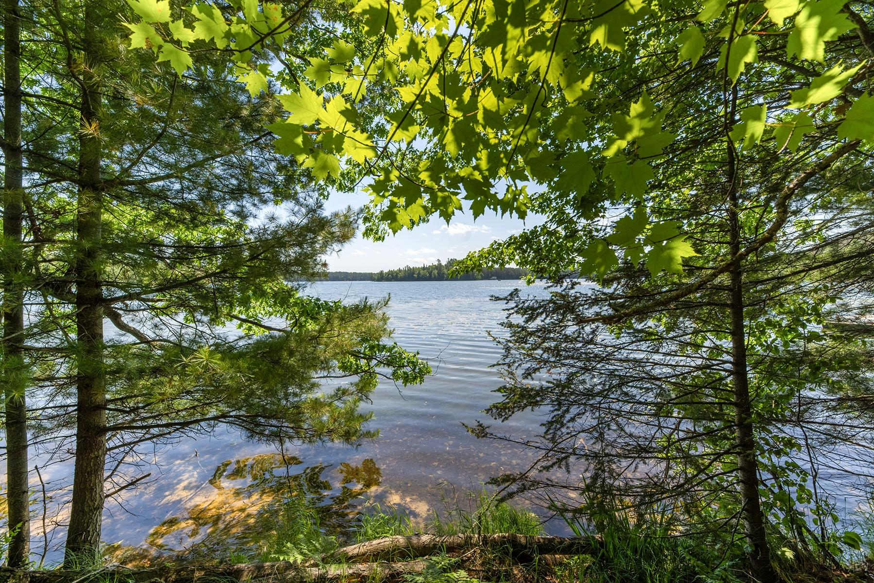 Off Shangri La Road Eagle River, WI 54521 - Photo 7 of 21 Gallery Image 7