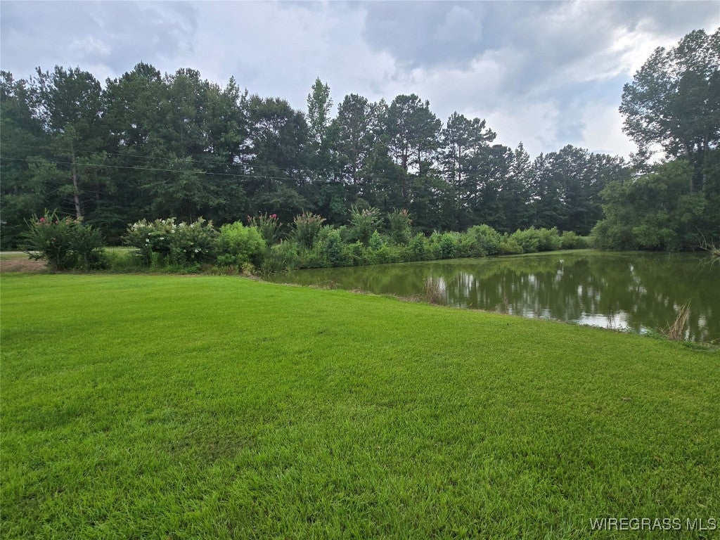 18921 Meriwether Trail Ramer, AL 36069 - Photo 8 of 46 Gallery Image 8
