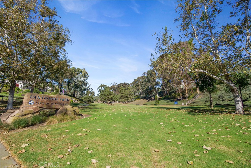 24965 Danamaple Dana Point, CA 92629 - Photo 50 of 72