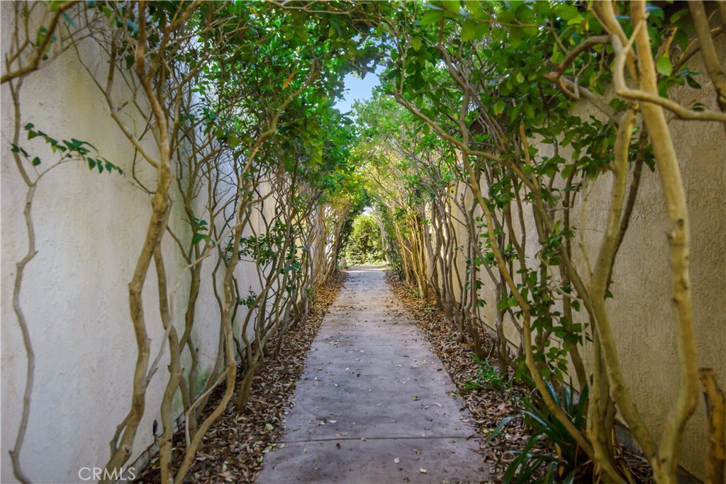 24965 Danamaple Dana Point, CA 92629 - Photo 53 of 72 a view of a pathway with a tree