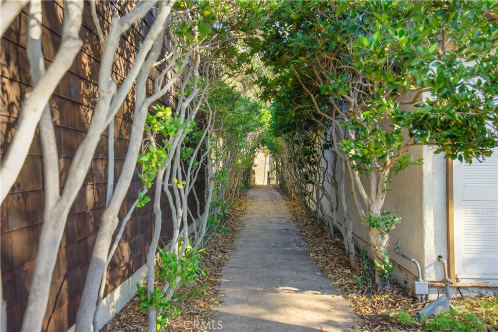 24965 Danamaple Dana Point, CA 92629 - Photo 58 of 72 a close up of a plant in a garden