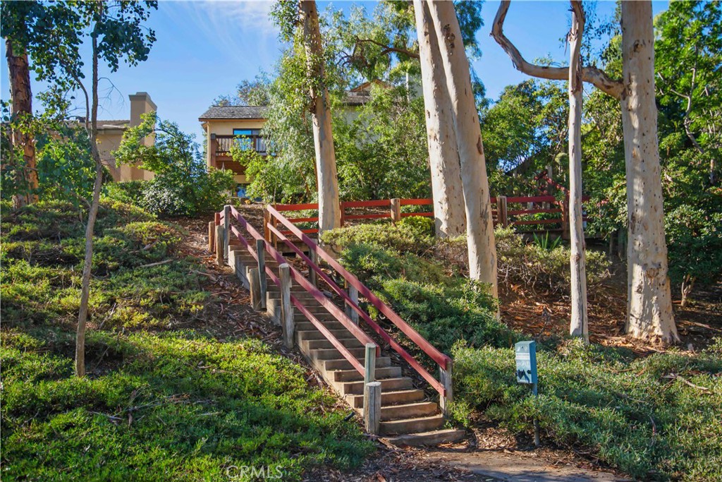 24965 Danamaple Dana Point, CA 92629 - Photo 59 of 72 a view of a house with a yard and plants