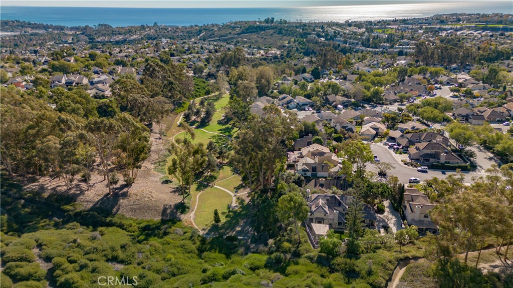 24965 Danamaple Dana Point, CA 92629 - Photo 72 of 72