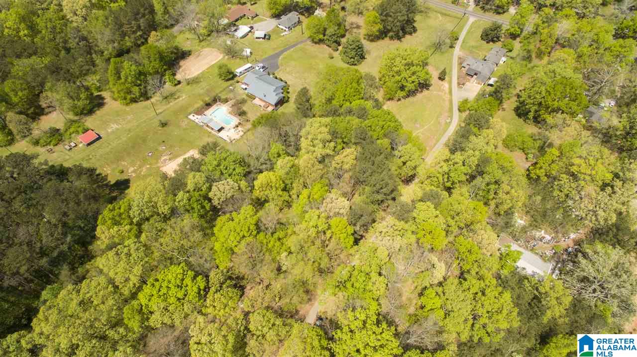 6659 Old Springville Road Pinson, AL 35126 - Photo 30 of 32