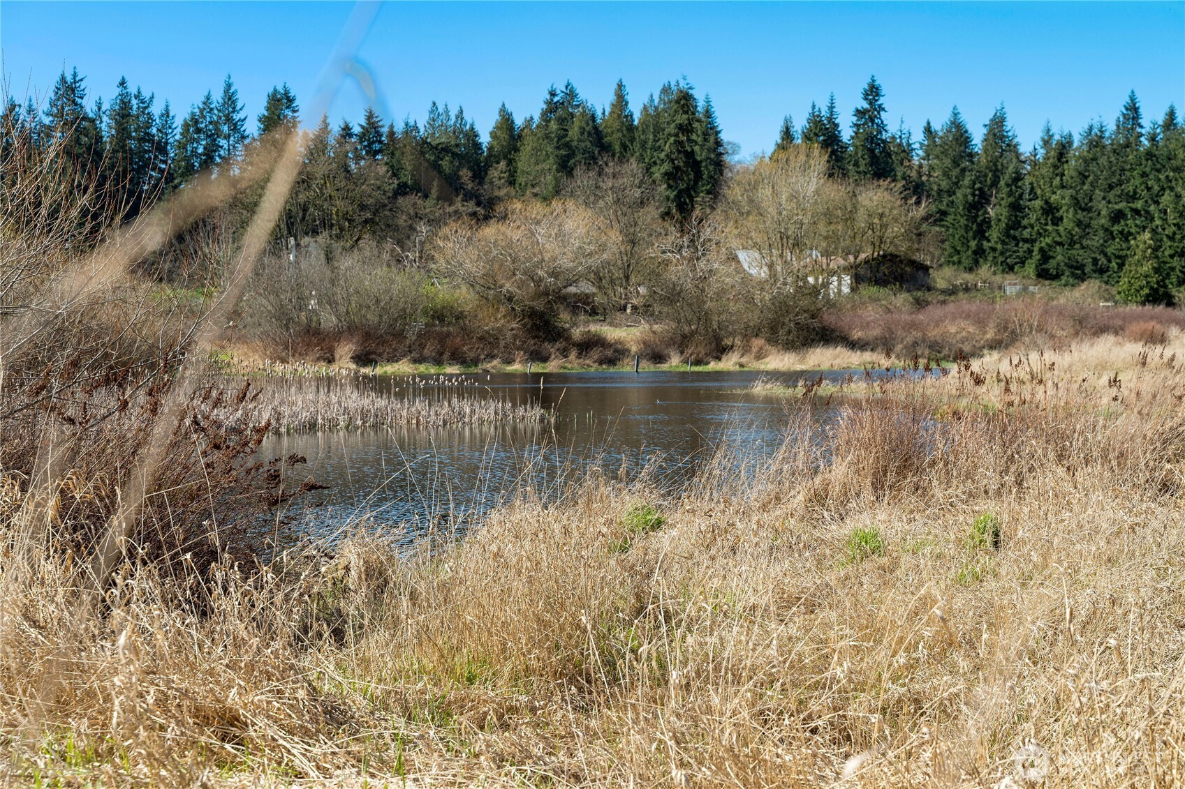 4320 Barbara Lane Clinton, WA 98236 - Photo 8 of 22