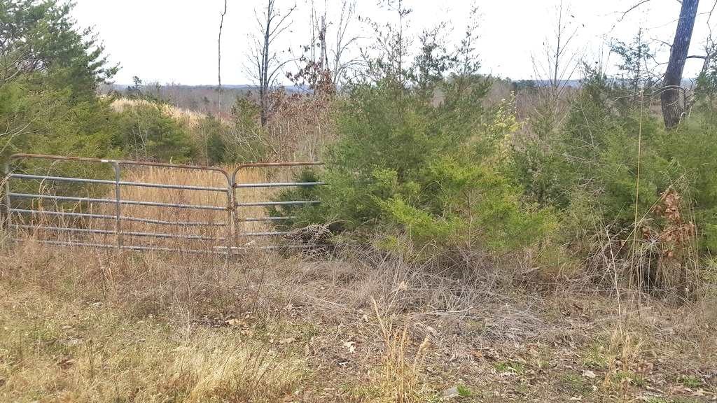 0 Son Moore Road Decatur, TN 37322 - Photo 5 of 8 Gallery Image 5