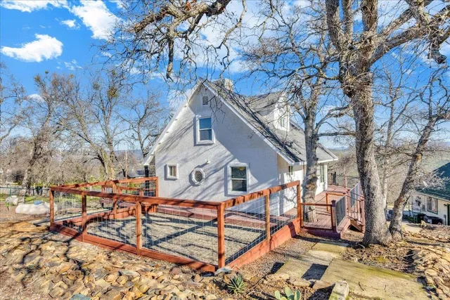 a view of a yard with a plant