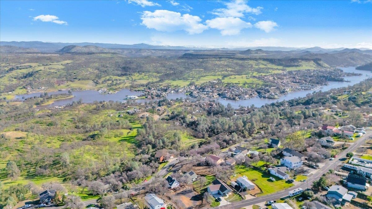 4620 Bayview Drive Copperopolis, CA 95228 - Photo 10 of 59 a view of a yard with a plant