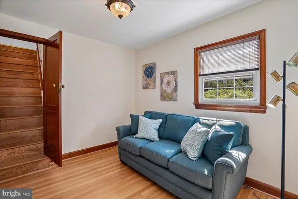 a view of a yard with plants and trees