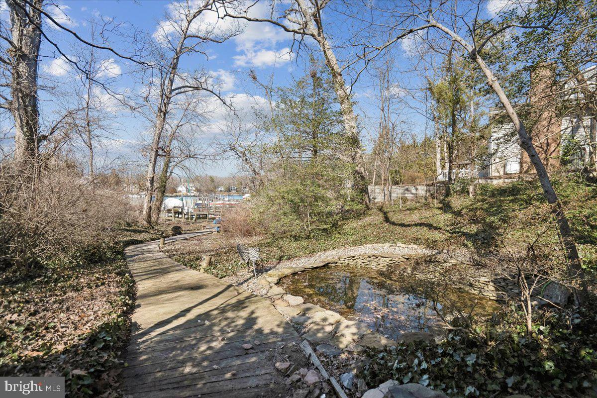 766 Cypress Road Severna Park, MD 21146 - Photo 63 of 92 Koi Pond