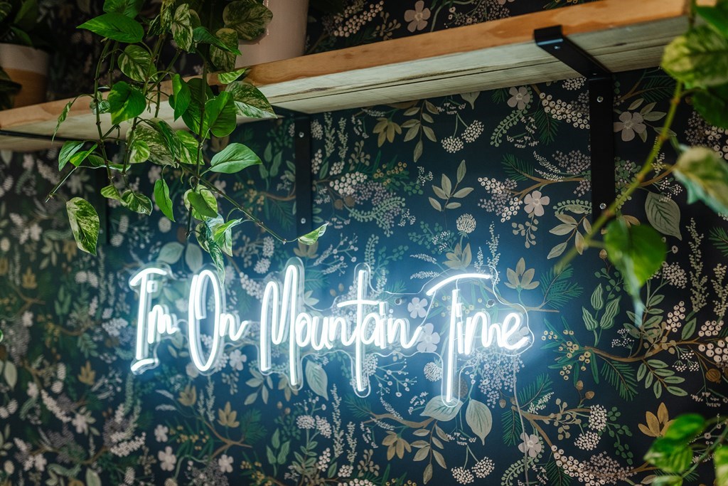 145 Daybreak Boulevard Morganton, GA 30560 - Photo 32 of 40 a close up of a plant in a garden