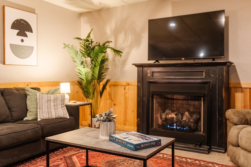 145 Daybreak Boulevard Morganton, GA 30560 - Photo 35 of 40 a living room with furniture a flat screen tv and a fireplace