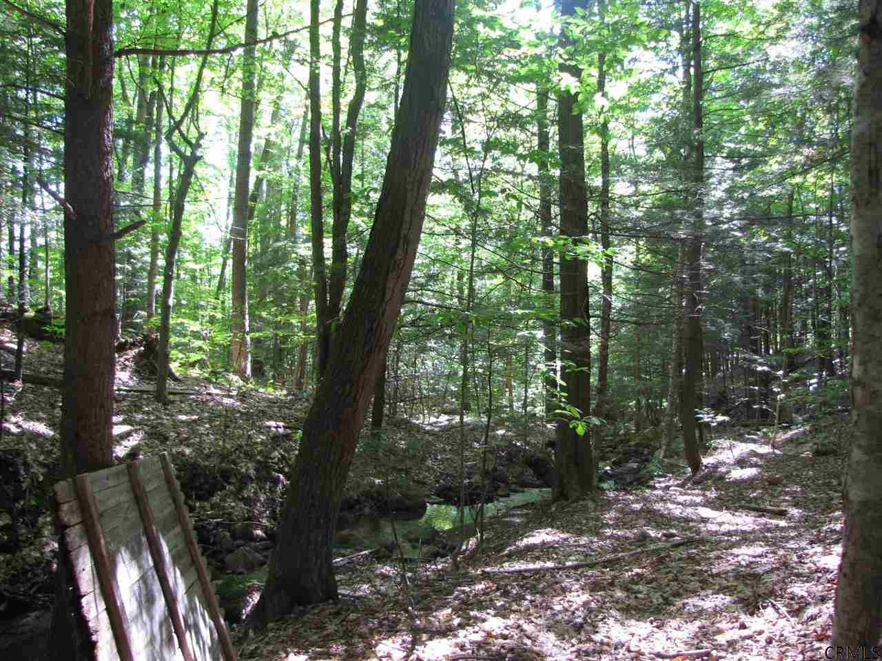 7143 Clark Road Providence, NY 12850 - Photo 13 of 14 Photo 13