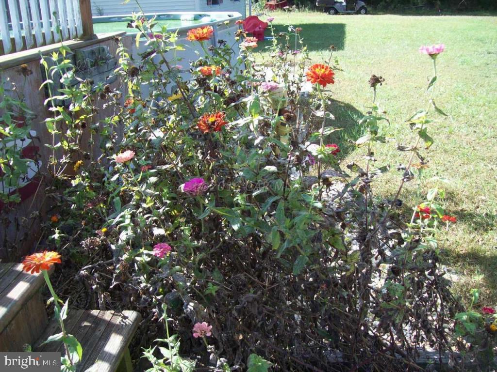 3477 Texas Road Bivalve, MD 21814 - Photo 22 of 32