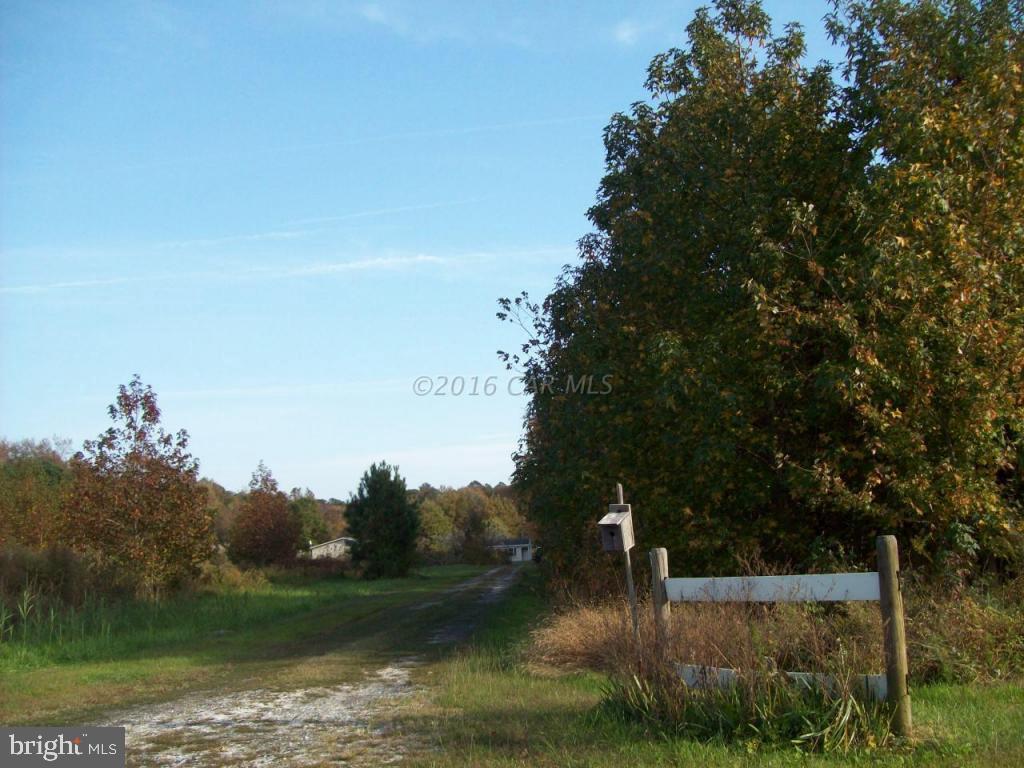 3477 Texas Road Bivalve, MD 21814 - Photo 4 of 32 a view of a lake with a yard and large trees