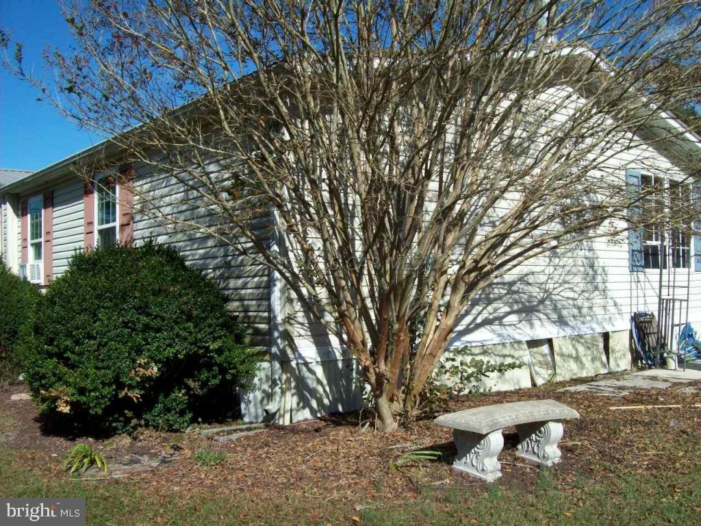 3477 Texas Road Bivalve, MD 21814 - Photo 8 of 32 a view of backyard with outdoor space