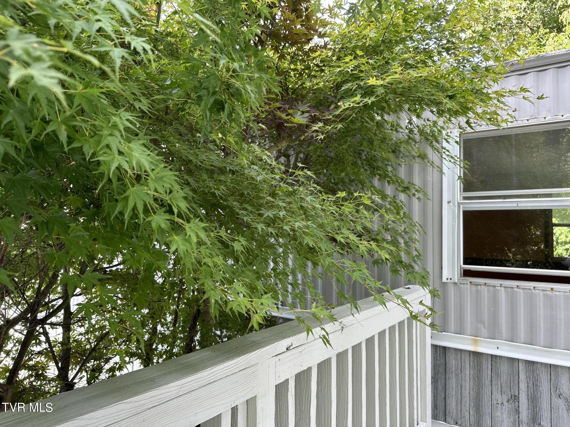 1370 Lovelace Road Fall Branch, TN 37656 - Photo 41 of 55 love the decks