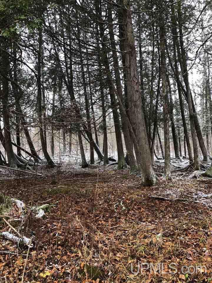 13281 Church P.1 Road Rapid River, MI 49878 - Photo 20 of 23