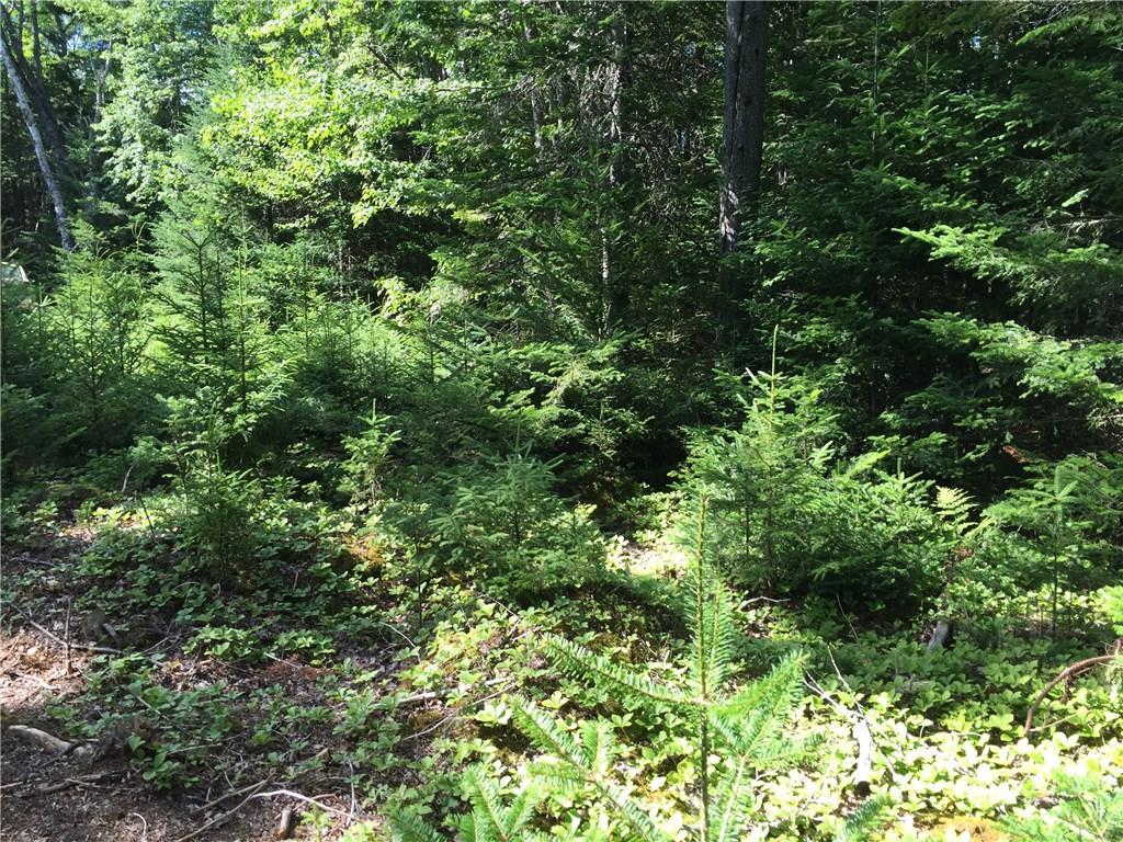 0 Ocean View Road, Unit LOT 1017 Jonesboro, ME 04648 - Photo 13 of 21 Photo