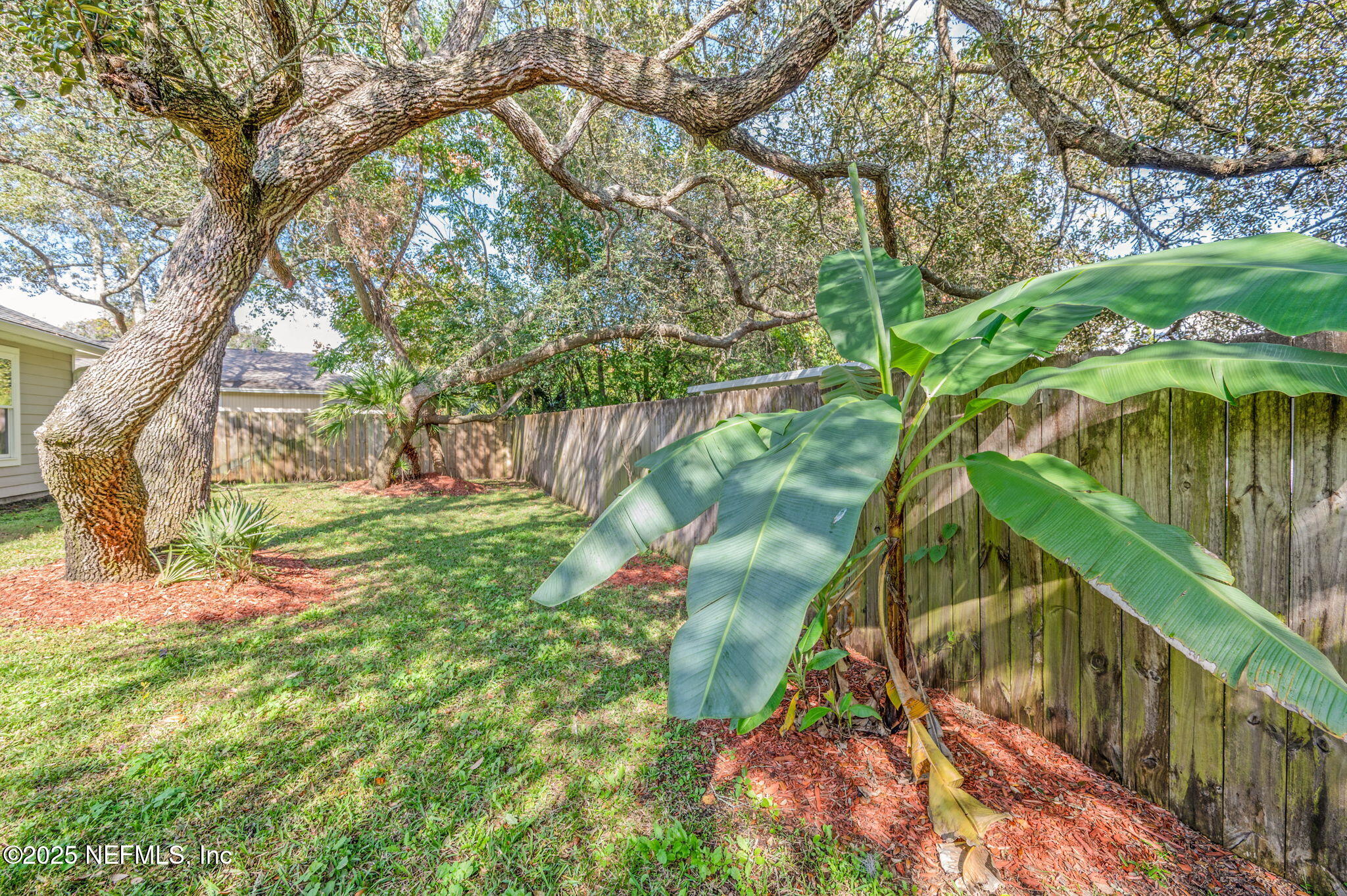 129 Lobelia Road St. Augustine, FL 32086 - Photo 42 of 71 129 Lobelia Road