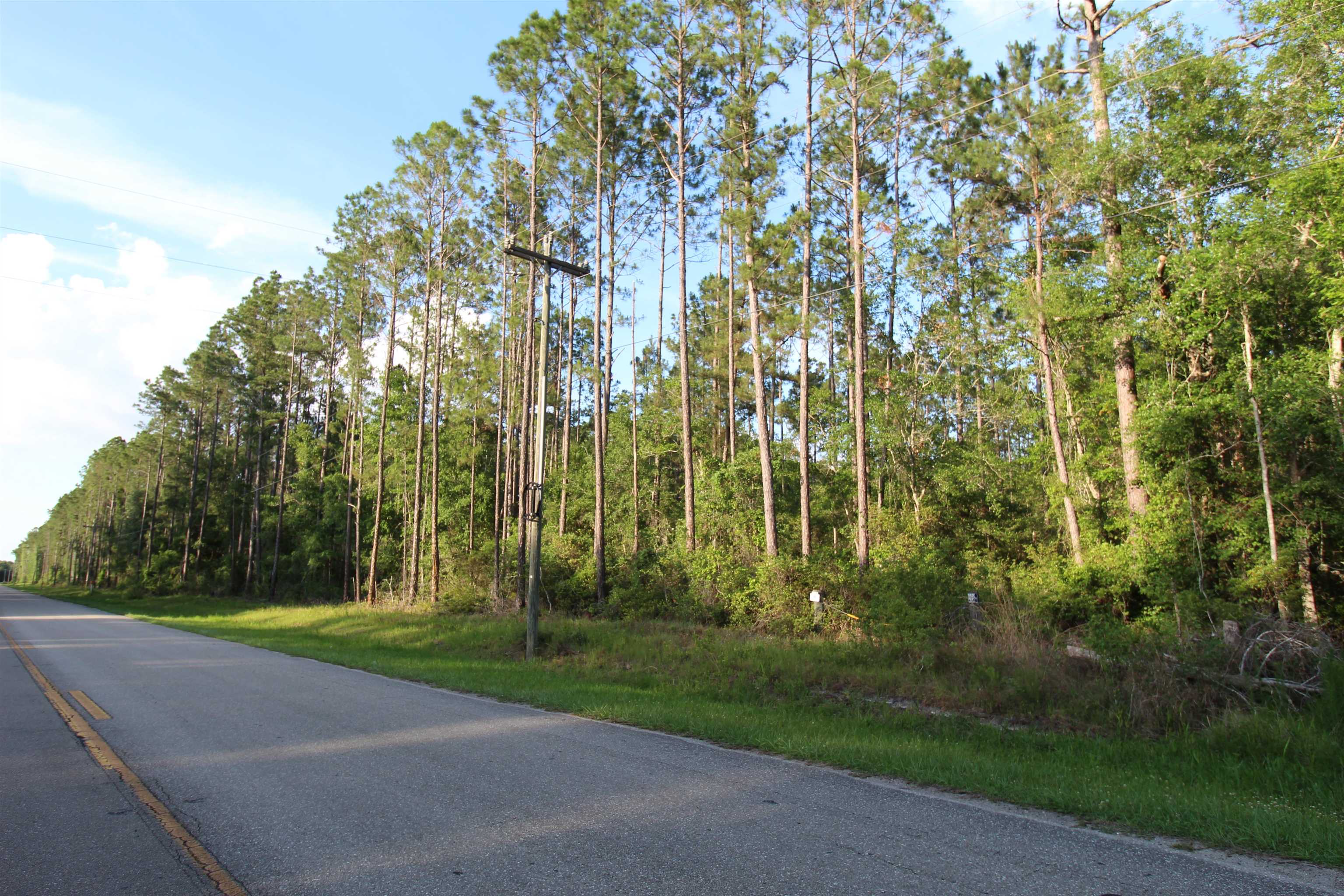 Tbd South Salt Road Monticello, FL 32344 - Photo 14 of 18
