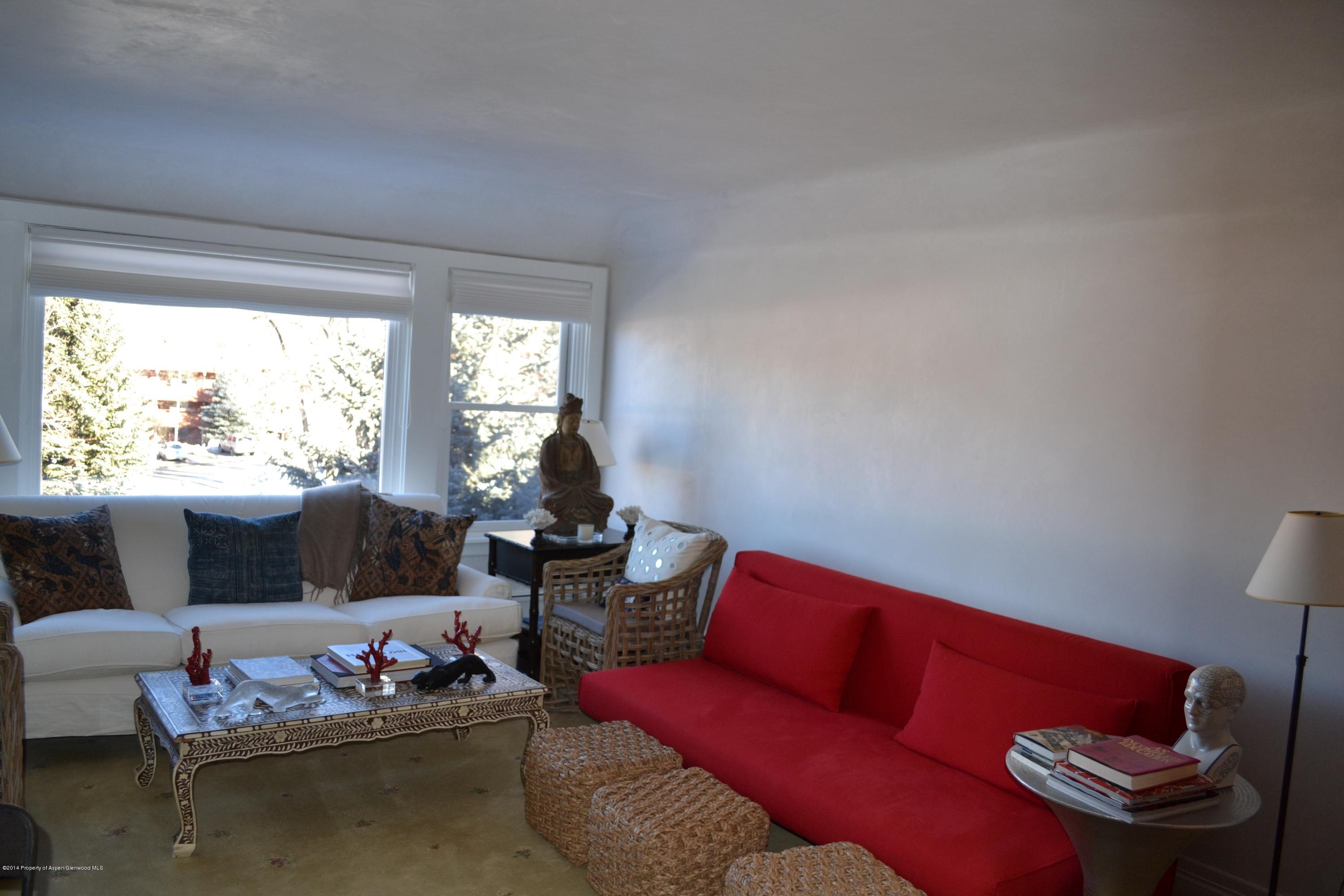 1041 Vine Street Aspen, CO 81611 - Photo 1 of 16 a living room with furniture and a large window