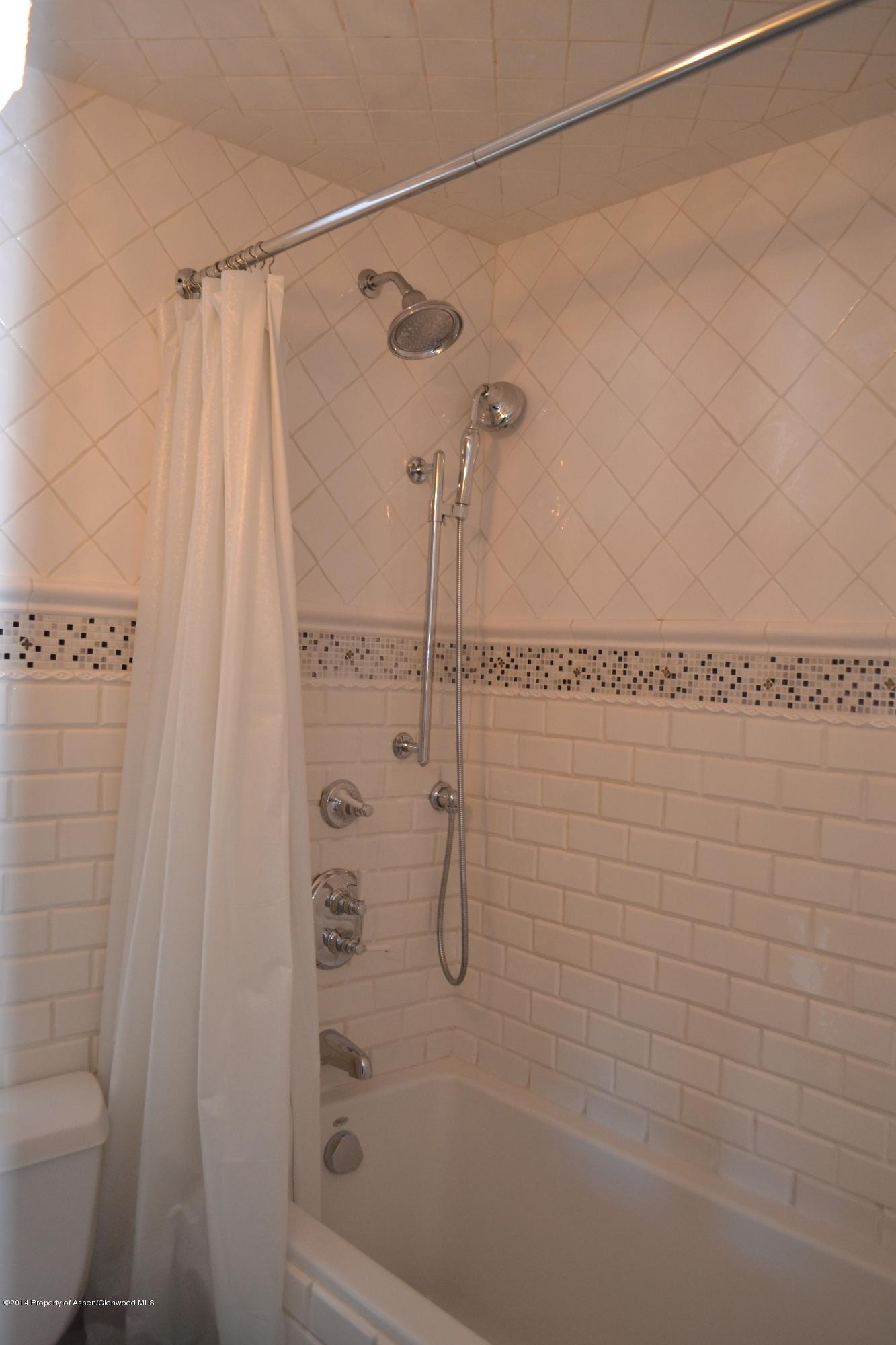 1041 Vine Street Aspen, CO 81611 - Photo 13 of 16 a bathroom with a shower