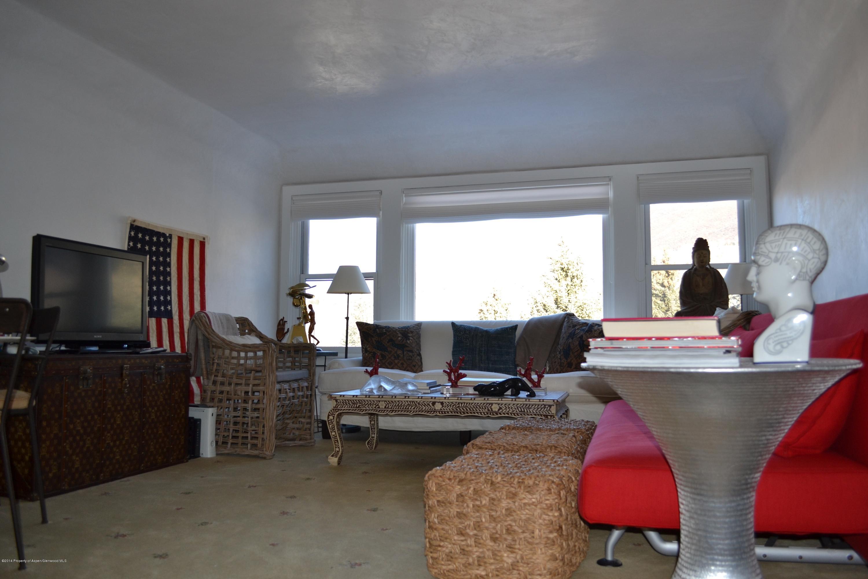1041 Vine Street Aspen, CO 81611 - Photo 2 of 16 a living room with furniture and a flat screen tv