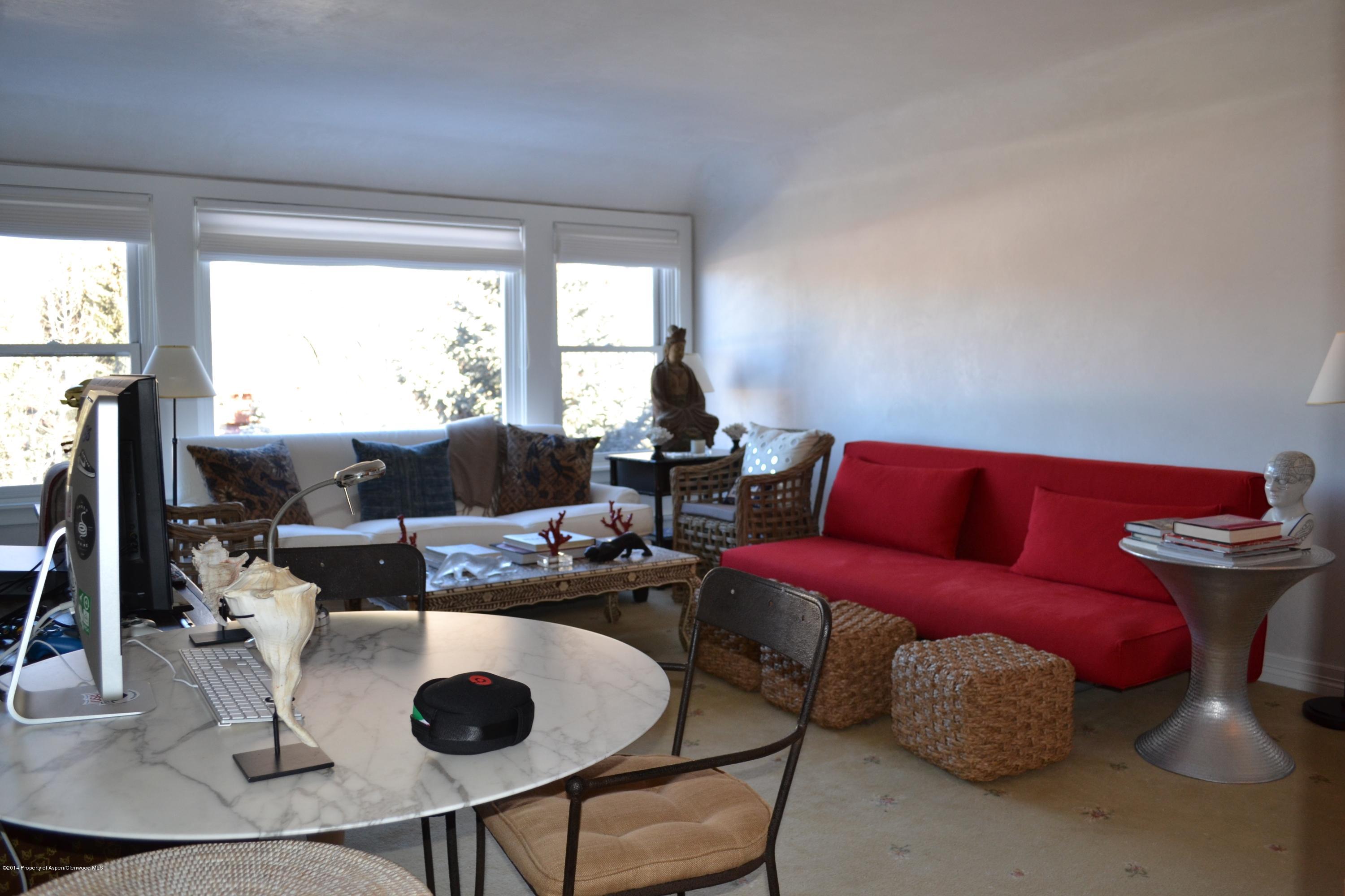 1041 Vine Street Aspen, CO 81611 - Photo 3 of 16 a living room with furniture and a large window